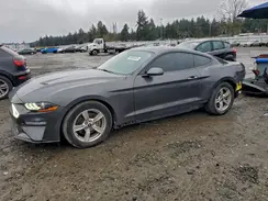 1FA6P8THXL5125252 2020 FORD MUSTANG