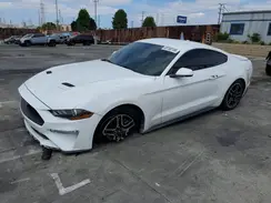 1FA6P8THXL5126210 2020 FORD MUSTANG