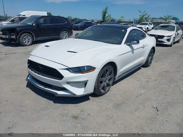 1FA6P8THXL5128037 2020 FORD MUSTANG - Image 2