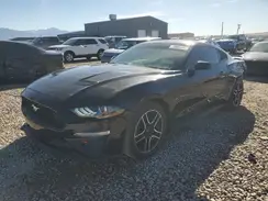 1FA6P8THXL5130404 2020 FORD MUSTANG