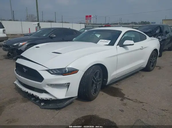 1FA6P8THXL5147736 2020 FORD MUSTANG - Image 2