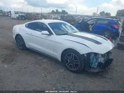 1FA6P8THXL5161782 2020 FORD MUSTANG