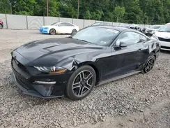 1FA6P8THXL5169364 2020 FORD MUSTANG