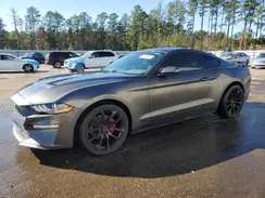 1FA6P8THXL5170644 2020 FORD MUSTANG