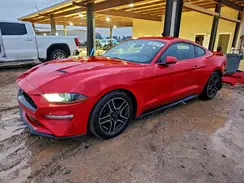 1FA6P8THXL5189419 2020 FORD MUSTANG