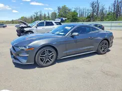 1FA6P8THXL5190439 2020 FORD MUSTANG