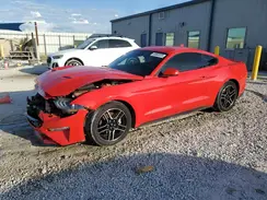 1FA6P8THXM5104774 2021 FORD MUSTANG