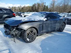 1FA6P8THXN5149201 2022 FORD MUSTANG