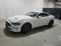 1FA6P8THXP5104715 2023 FORD MUSTANG
