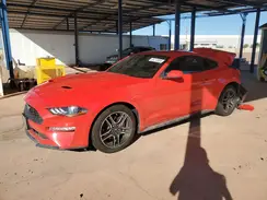 1FA6P8THXP5110370 2023 FORD MUSTANG