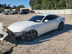 1FA6P8THXR5100800 2024 FORD MUSTANG