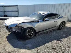 1FA6P8THXR5105558 2024 FORD MUSTANG