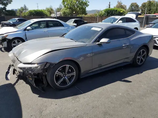 1FA6P8THXR5107696 2024 FORD MUSTANG - Image 1