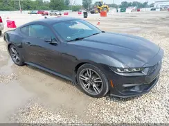 1FA6P8THXR5108783 2024 FORD MUSTANG