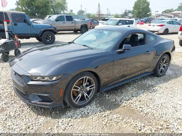 1FA6P8THXR5108783 2024 FORD MUSTANG - Image 2
