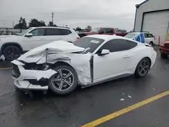 1FA6P8THXR5109366 2024 FORD MUSTANG