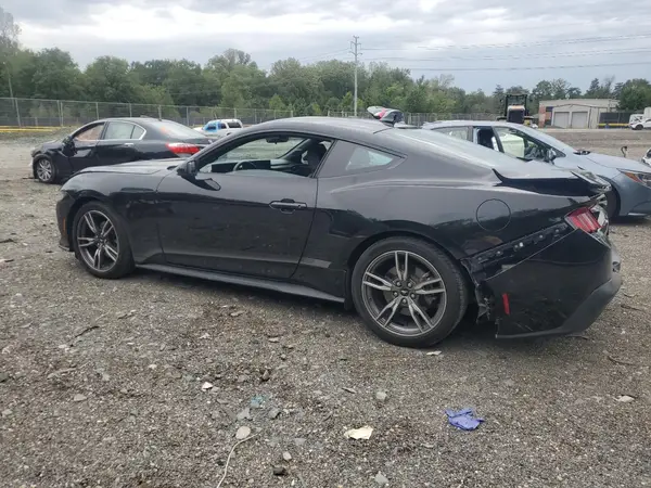 1FA6P8THXR5110355 2024 FORD MUSTANG - Image 2