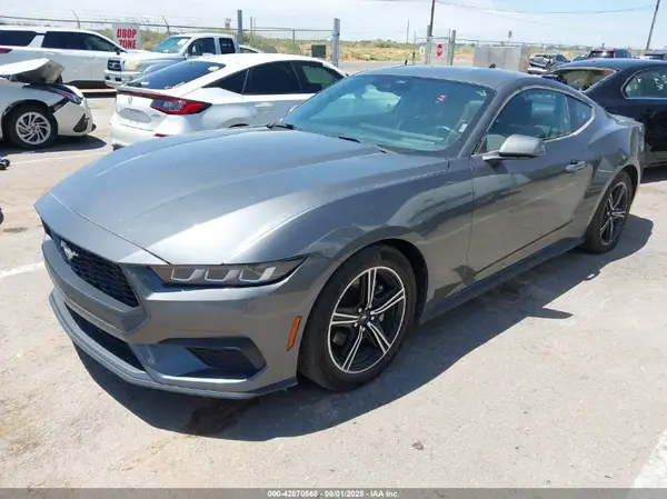 1FA6P8THXR5120285 2024 FORD MUSTANG - Image 2