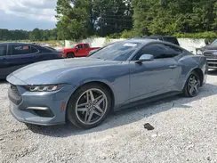 1FA6P8THXR5125096 2024 FORD MUSTANG
