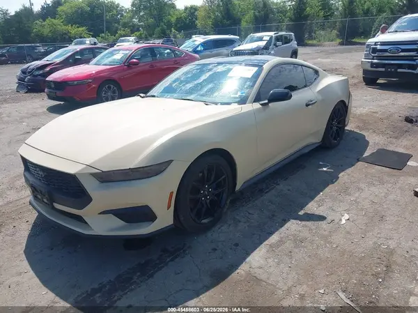 1FA6P8THXR5128841 2024 FORD MUSTANG - Image 2