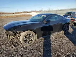 1FA6P8THXR5129875 2024 FORD MUSTANG