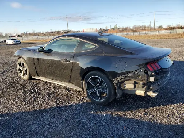 1FA6P8THXR5129875 2024 FORD MUSTANG - Image 2