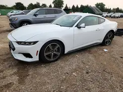 1FA6P8THXR5135336 2024 FORD MUSTANG