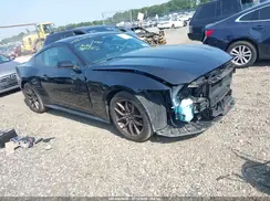 1FA6P8THXR5137362 2024 FORD MUSTANG