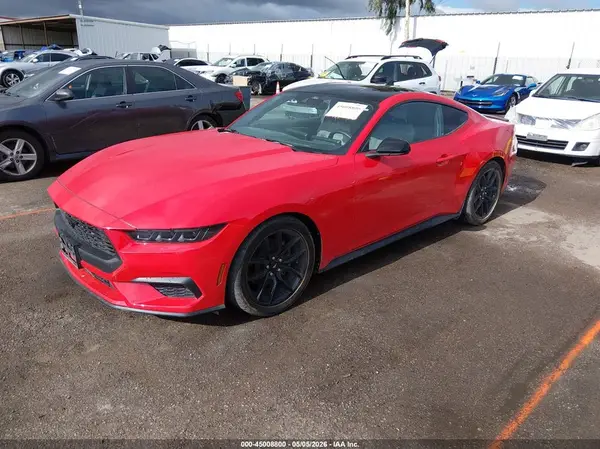 1FA6P8THXR5138088 2024 FORD MUSTANG - Image 2