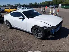 1FA6P8THXR5143601 2024 FORD MUSTANG