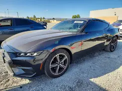 1FA6P8THXR5143954 2024 FORD MUSTANG