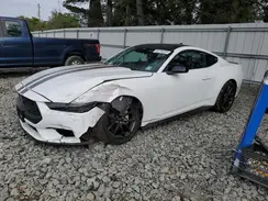 1FA6P8THXR5147082 2024 FORD MUSTANG