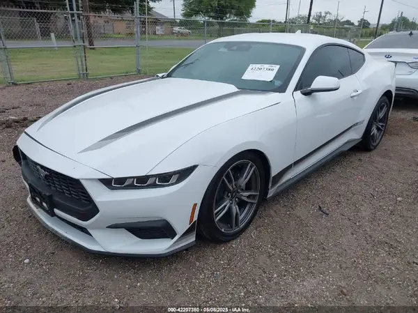 1FA6P8THXS5109244 2025 FORD MUSTANG - Image 2