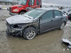 1FADP3E23HL262197 2017 FORD FOCUS