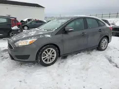 1FADP3F23HL315592 2017 FORD FOCUS