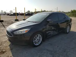 1FADP3F24GL239184 2016 FORD FOCUS