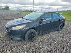 1FADP3F25GL335907 2016 FORD FOCUS