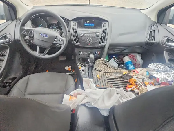 1FADP3F25JL272430 2018 FORD FOCUS - Image 8