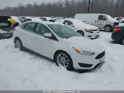 1FADP3F26HL250205 2017 FORD FOCUS