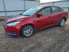 1FADP3F26HL296259 2017 FORD FOCUS