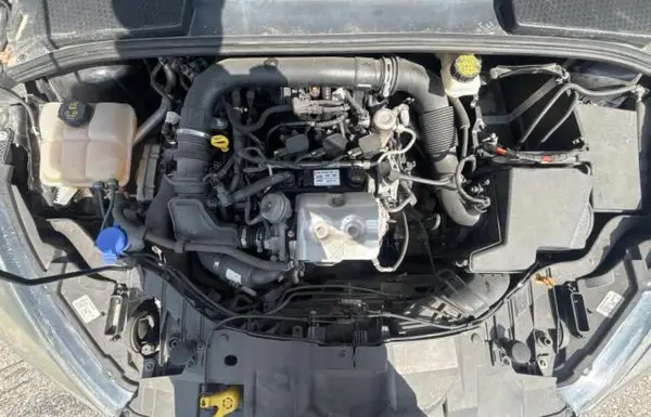 1FADP3FE6HL290066 2017 FORD FOCUS - Image 2