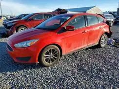 1FADP3K20HL298692 2017 FORD FOCUS