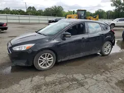 1FADP3K20HL331092 2017 FORD FOCUS