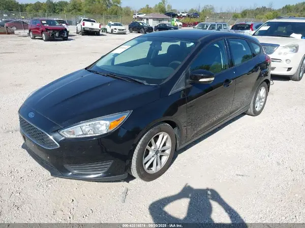 1FADP3K22GL204391 2016 FORD FOCUS - Image 2