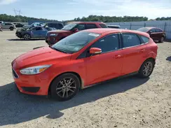 1FADP3K22GL230666 2016 FORD FOCUS