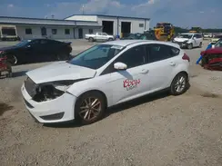1FADP3K23GL313586 2016 FORD FOCUS