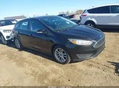 1FADP3K24GL244293 2016 FORD FOCUS