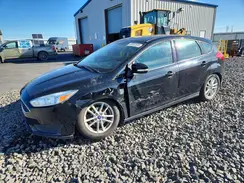 1FADP3K24GL258842 2016 FORD FOCUS