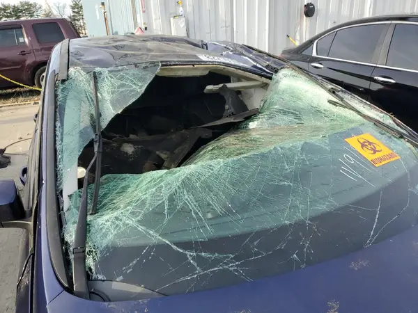 1FADP3K24GL401160 2016 FORD FOCUS - Image 8