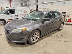 1FADP3K24HL311217 2017 FORD FOCUS